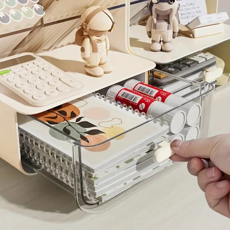 Multi Storage Organizer